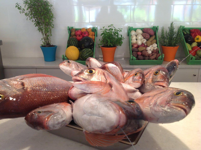 Ε/Τ. Ταξιδεύοντας στα βόρεια Ε/Τ. Ταξιδεύοντας στα βόρεια