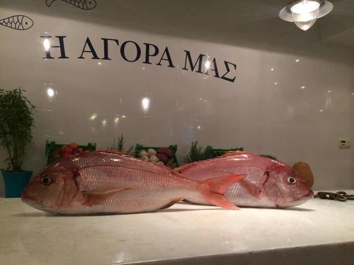 Ε/Τ. Ταξιδεύοντας στα βόρεια Ε/Τ. Ταξιδεύοντας στα βόρεια