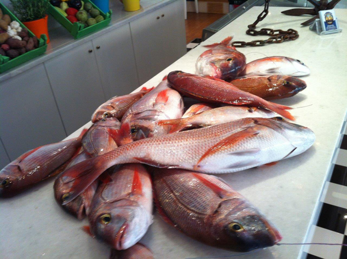 Ε/Τ. Ταξιδεύοντας στα βόρεια Ε/Τ. Ταξιδεύοντας στα βόρεια