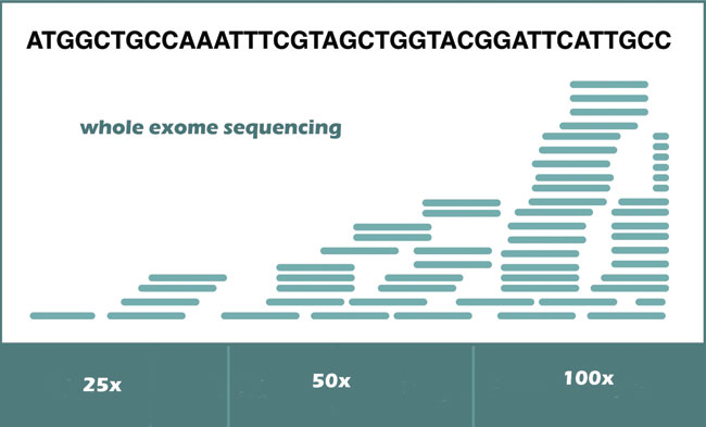 Whole Exome Sequencing (WES)