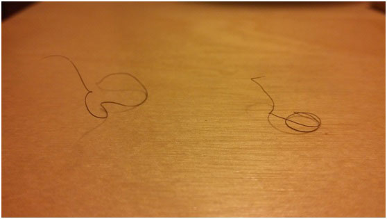 Είστε φιλότεχνοι ή γίδια;