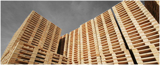 Είστε φιλότεχνοι ή γίδια;