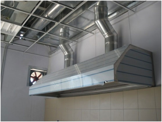 Είστε φιλότεχνοι ή γίδια;