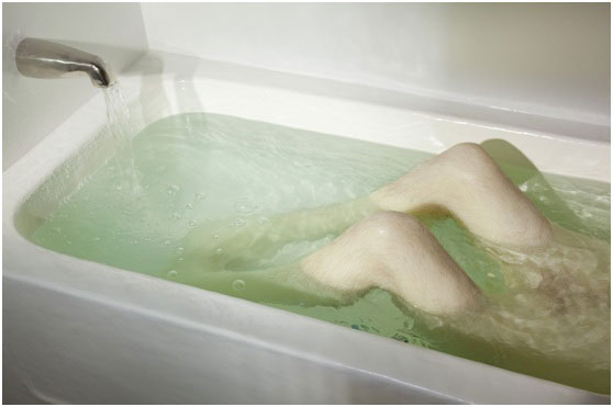 Είστε φιλότεχνοι ή γίδια;