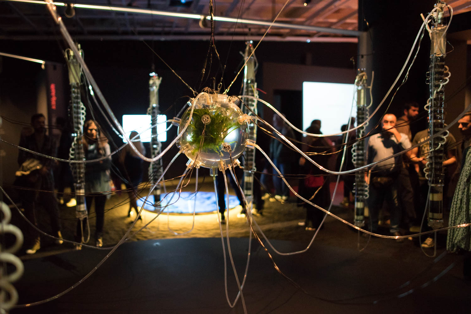 Φωτογραφίες από τη βραδιά των εγκαινίων στη Στέγη Φωτογραφίες από τη βραδιά των εγκαινίων στη Στέγη