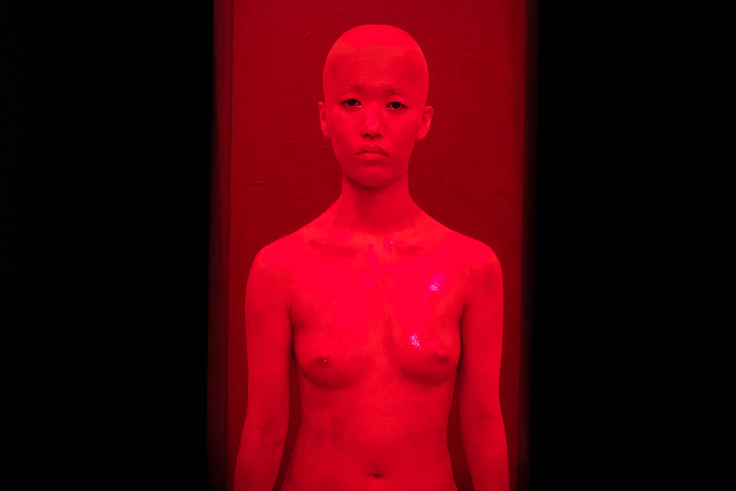 Φωτογραφίες από τη βραδιά των εγκαινίων στη Στέγη Φωτογραφίες από τη βραδιά των εγκαινίων στη Στέγη