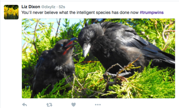 τα πικρά αστεία της ημέρας 