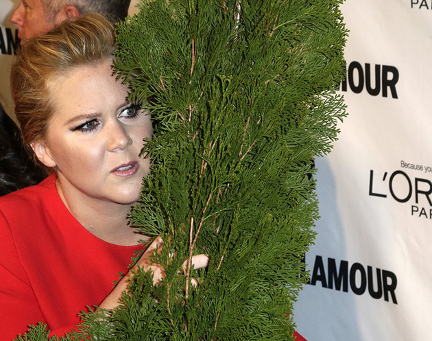 Έιμι Σούμαν 