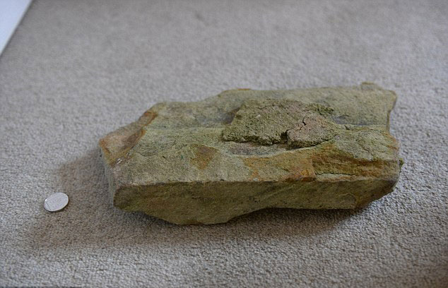 Τον έβγαλαν παιδόφιλο επειδή, λόγω ιού, είχε χωρίς να το ξέρει παιδική πορνογραφία στο laptop του