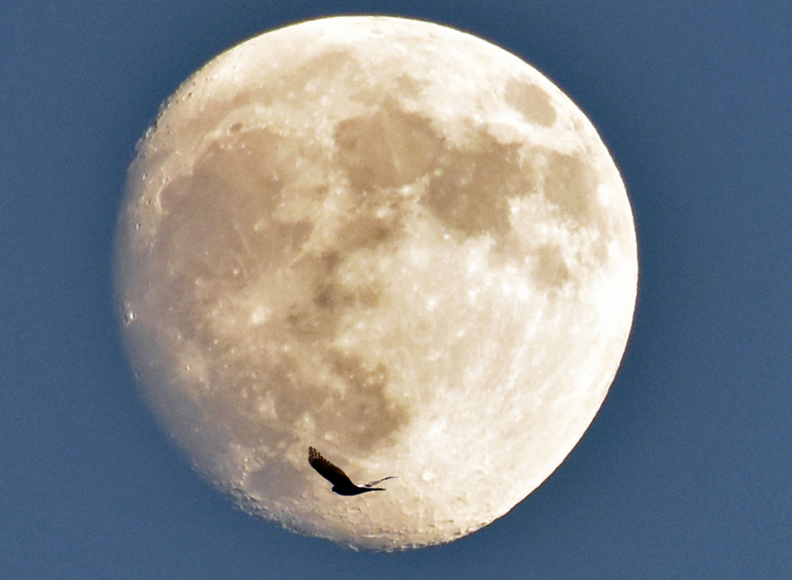 Μαγικές φωτογραφίες από το σπάνιο φαινόμενο Supermoon