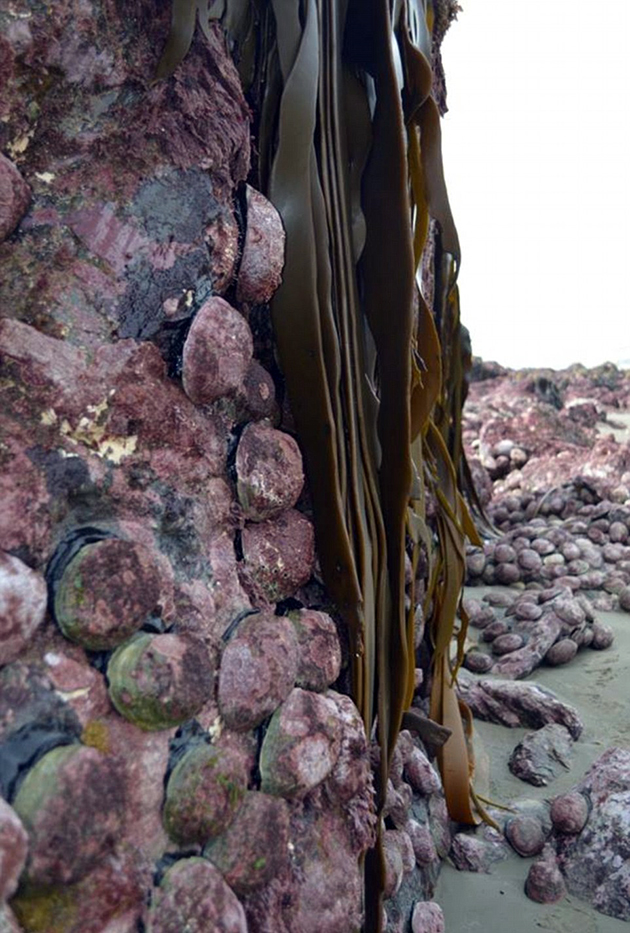 Σεισμός στη Νέα Ζηλανδία Σεισμός στη Νέα Ζηλανδία