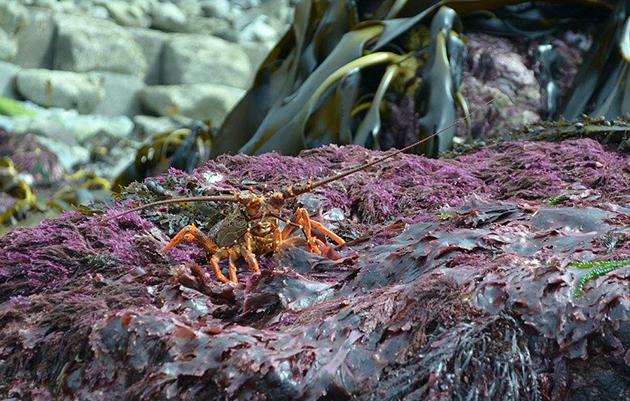 Σεισμός στη Νέα Ζηλανδία Σεισμός στη Νέα Ζηλανδία