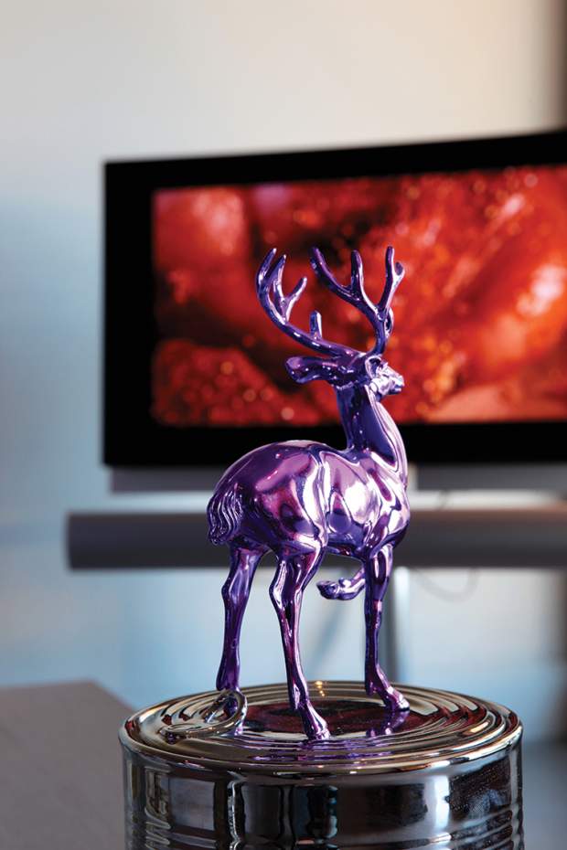 Στο σπίτι του Δ.Α. γίνονται απρόσμενοι συνδυασμοί. Έργα τέχνης γνωστών καλλιτεχνών διασκεδάζουν δίπλα σε ευτελή αντικείμενα, όπως το υπέροχο αυτό «καθρεφτέ» ελάφι, αγορασμένο από πανέρι σε παζάρι γύφτων