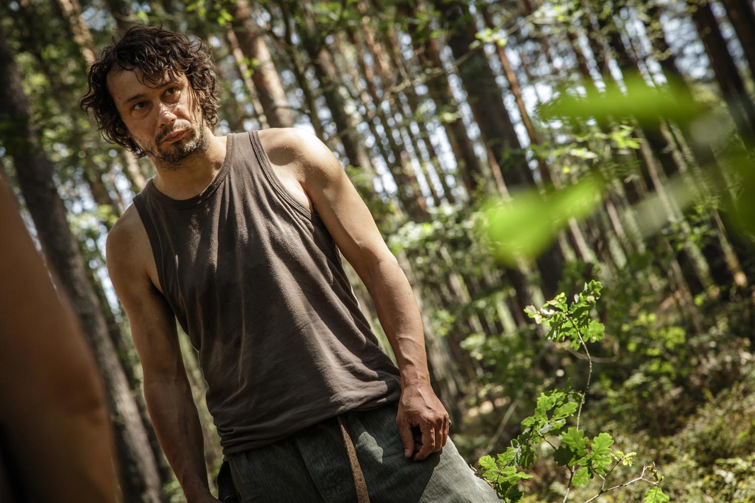 Green horse rustlers