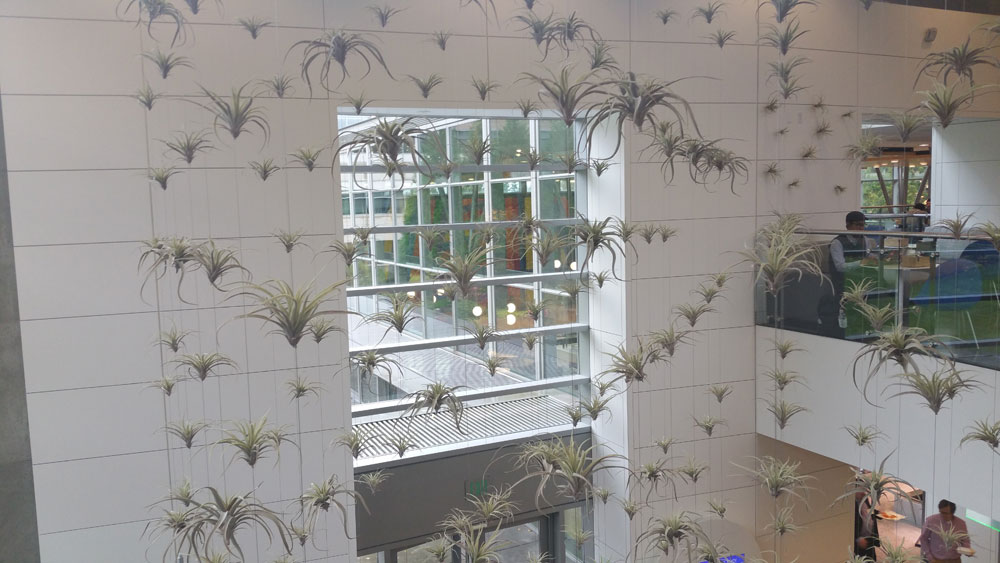 Κόψε τη νοηματική, πιάσε το translator