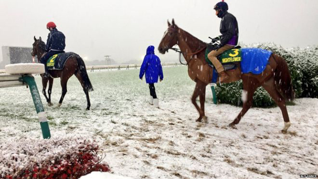 Χιόνι στο Τόκυο