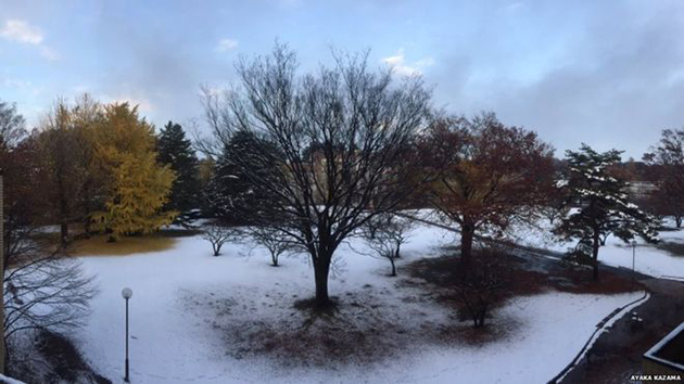 Χιόνι στο Τόκυο