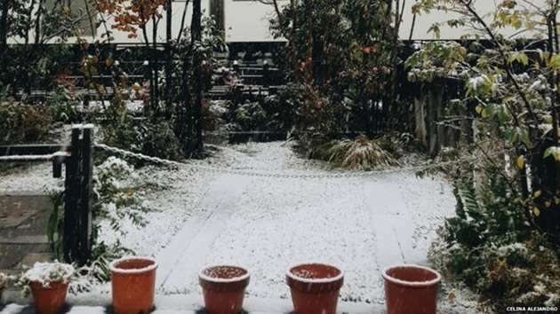 Χιόνι στο Τόκυο