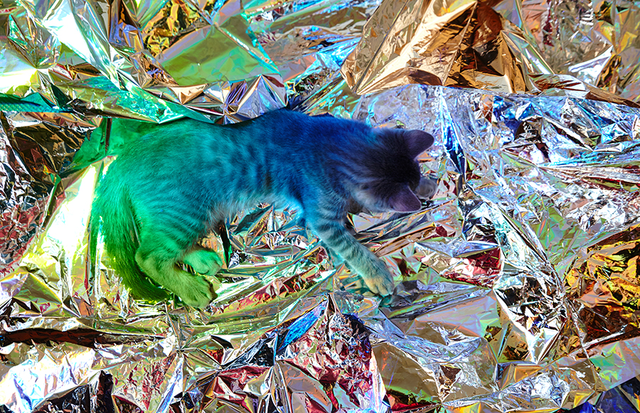 Η Erika Mugglin φωτογραφίζει μόνο ό,τι έχει από 7 χρώματα και πάνω