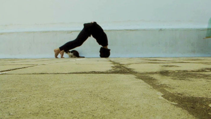 Αγνή Παπαδέλη Ρωσσέτου, Το βλέμμα και το τέρας, © Agni Papadeli Rossetou