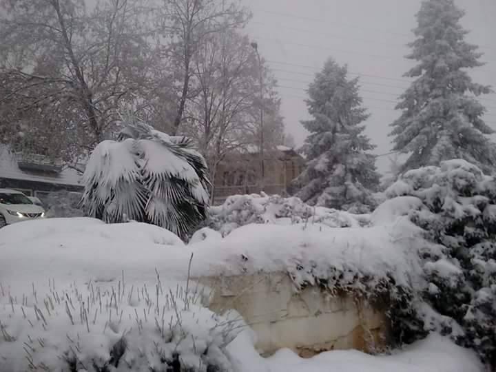 Χιόνια στο Χορτιάτη