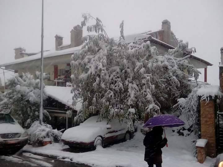 Χιόνια στο Χορτιάτη