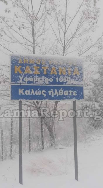 Καστανιά Υπάτης