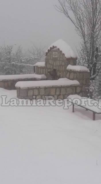 Καστανιά Υπάτης