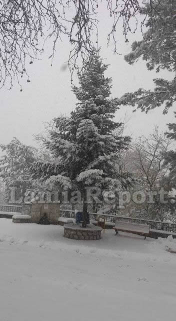 Καστανιά Υπάτης