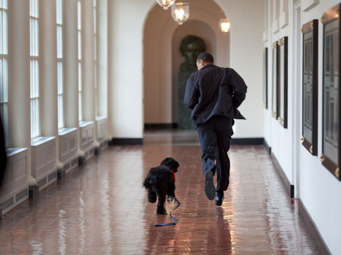 Τρέχοντας στους διαδρόμους του Λευκού Οίκου με τον σκύλο του Bo – Μάρτιος 2009 