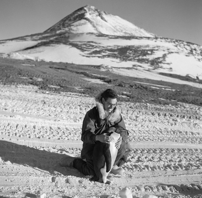 Robert McCabe Robert McCabe