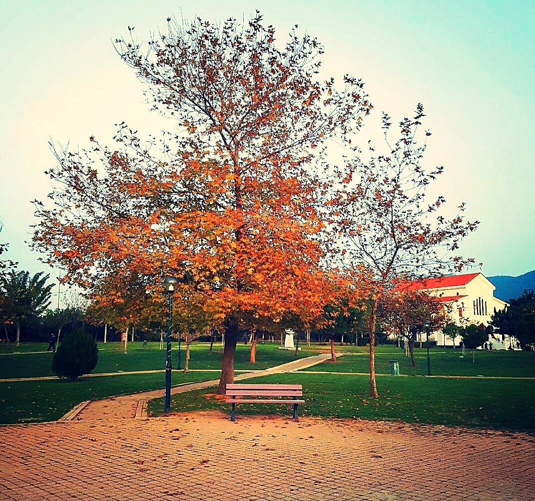 © Angeliki Kala / Πάρκο Γουδή © Angeliki Kala / Πάρκο Γουδή