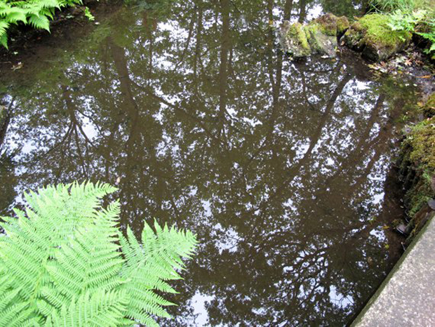 Μαρία Οικονομοπούλου, «Ένα τόσο τρυφερό τίποτα» στο Ολλανδικό Ινστιτούτο Αθηνών