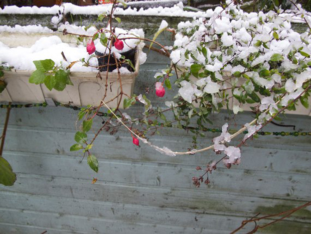 Μαρία Οικονομοπούλου, «Ένα τόσο τρυφερό τίποτα» στο Ολλανδικό Ινστιτούτο Αθηνών