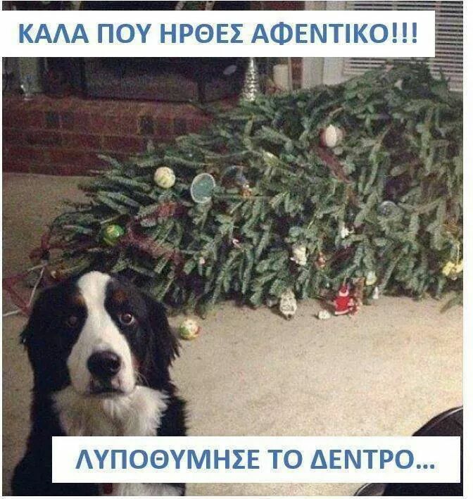 Τα YOLO της εβδομάδας Τα YOLO της εβδομάδας