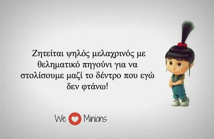 Τα YOLO της εβδομάδας Τα YOLO της εβδομάδας