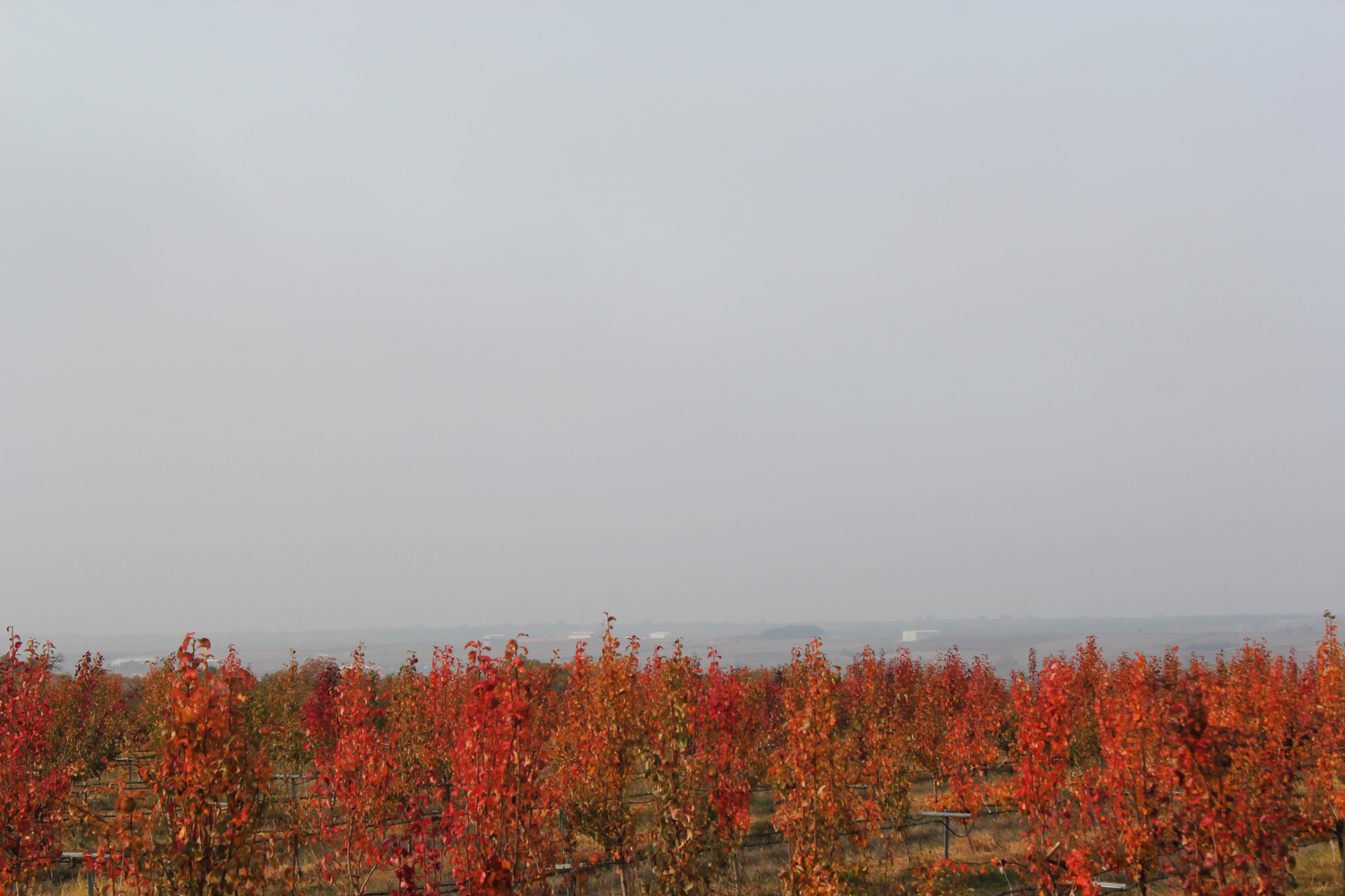 Το ξενοδοχείο βρίσκεται στη μέση ενός μαγικού τοπίου