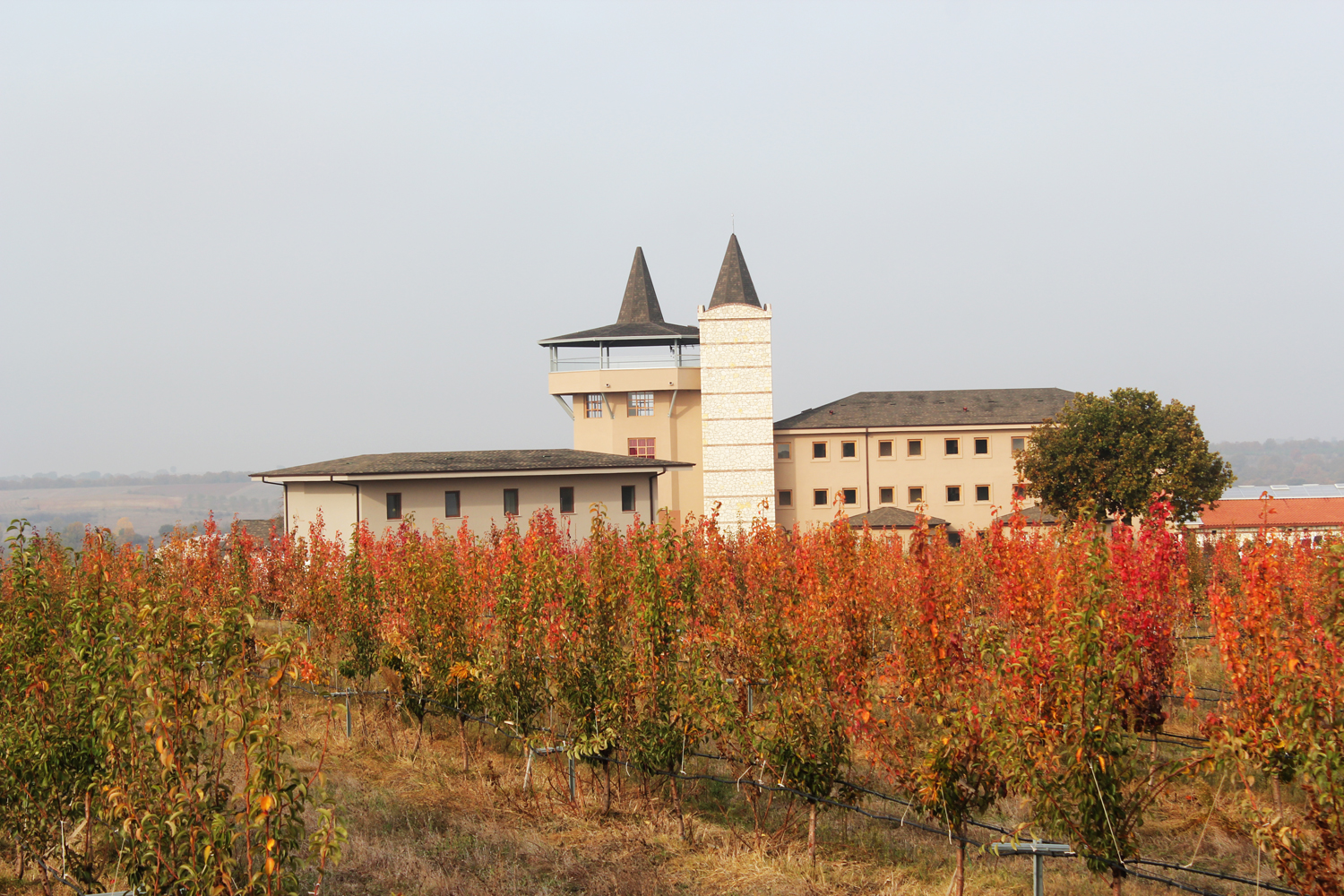 Το ξενοδοχείο Bakucha Vineyard Hotel& Spa