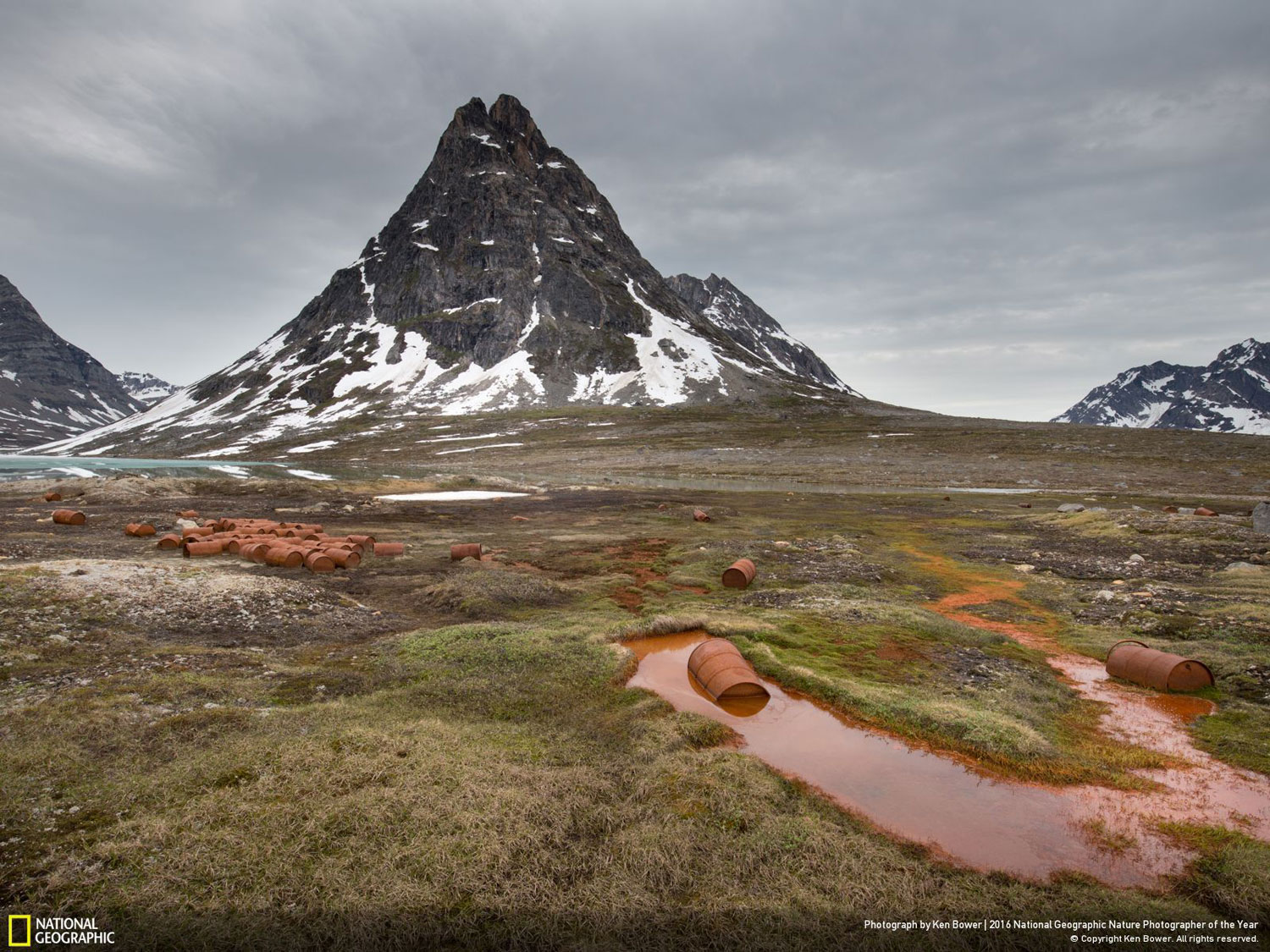 American Flowers #1 // Photo and caption by Ken Bower American Flowers #1 // Photo and caption by Ken Bower