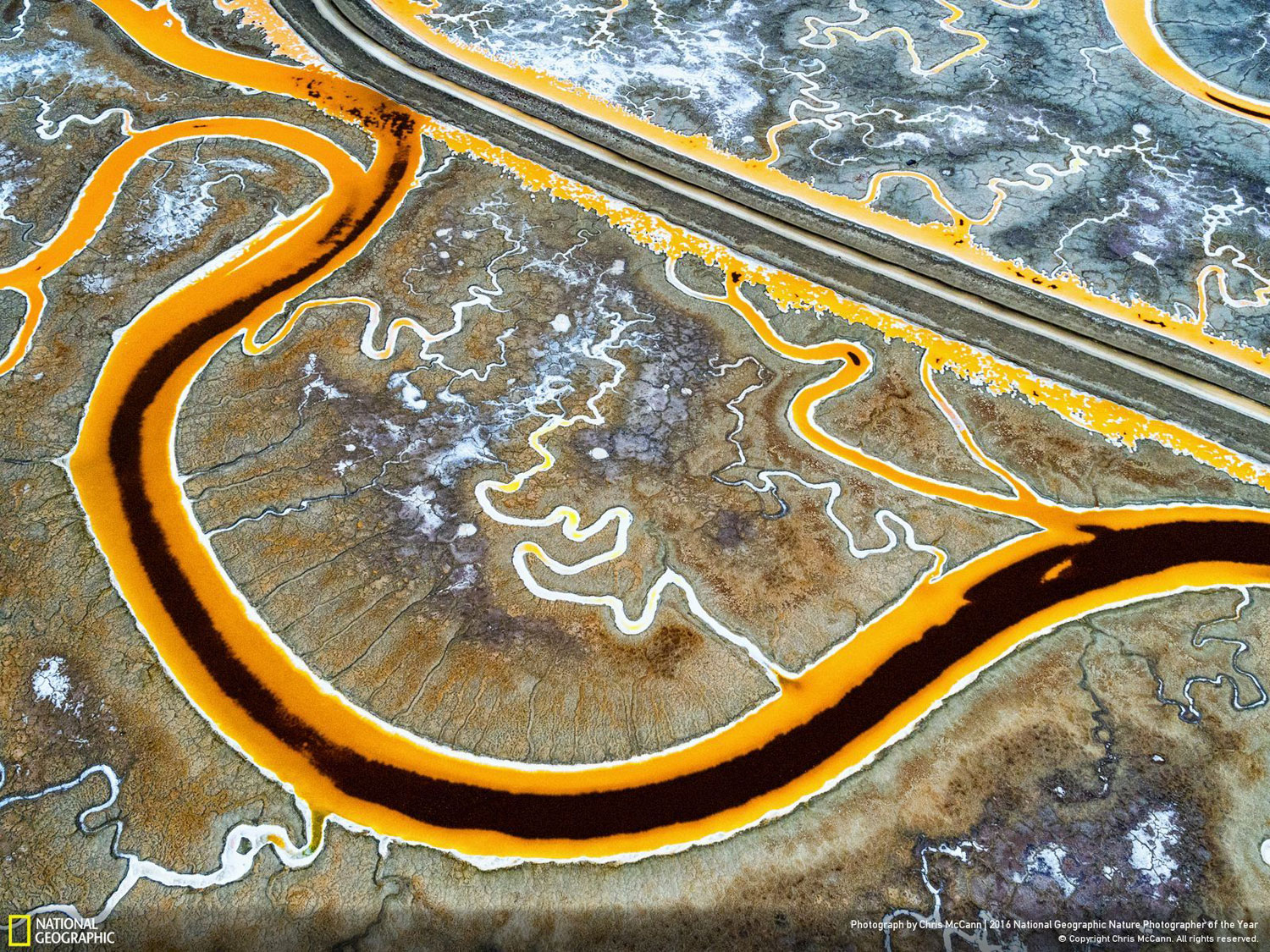 The View Outside Facebook HQ // Photo and caption by Chris McCann The View Outside Facebook HQ // Photo and caption by Chris McCann