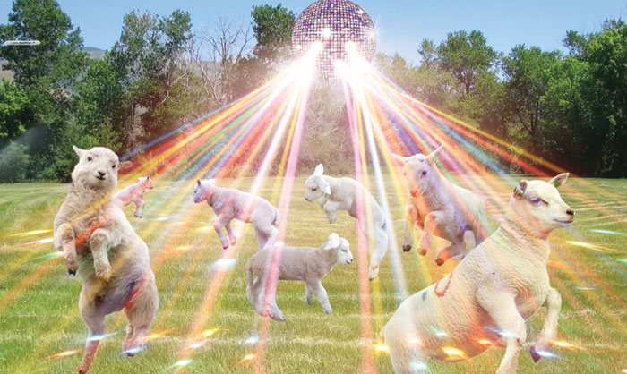 Τα πρόβατα του βοσκότοπου Καλογρίτσα γιορτάζουν γιατί μετά την ιστορία με τις άδειες κατέληξαν να μένουν σε λιβάδι αξίας 100 εκατομμυρίων ευρώ Τα πρόβατα του βοσκότοπου Καλογρίτσα γιορτάζουν γιατί μετά την ιστορία με τις άδειες κατέληξαν να μένουν σε λιβάδι αξίας 100 εκατομμυρίων ευρώ