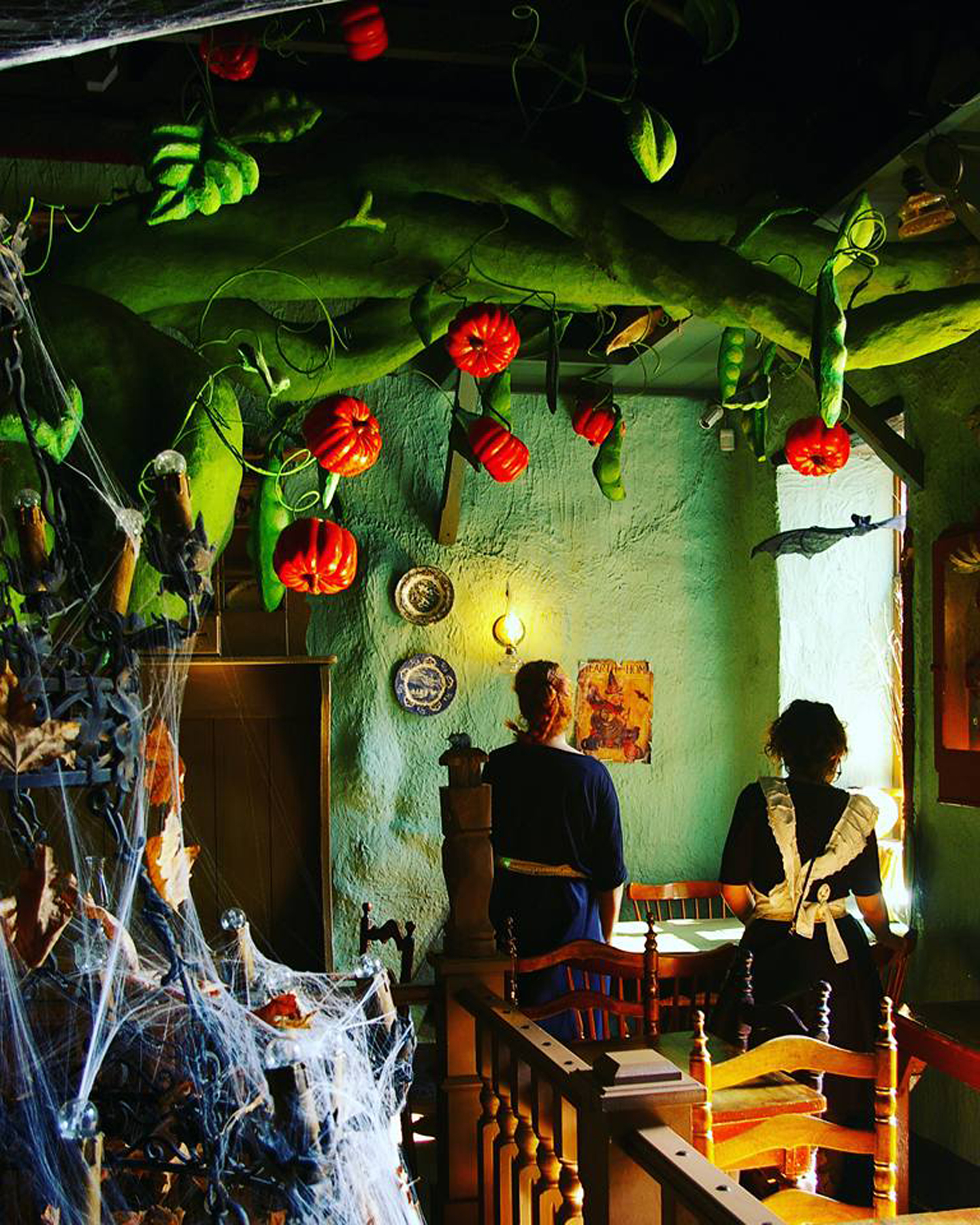 Little Kook Little Kook