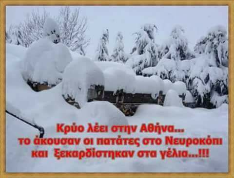 Τα YOLO της εβδομάδας