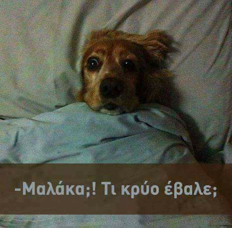 Τα YOLO της εβδομάδας