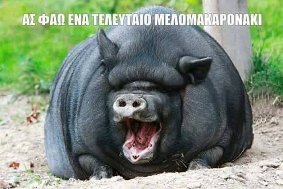 Τα YOLO της εβδομάδας