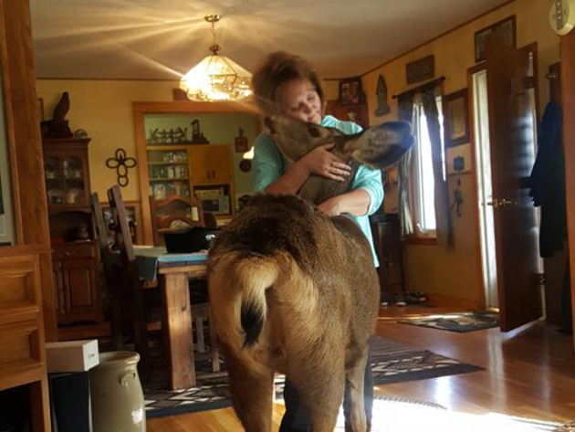 Δασοφύλακας εκτέλεσε εν ψυχρώ δασοφύλακας ελάφι στο Κάνσας 