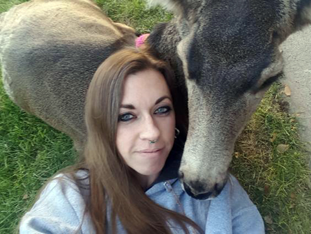 Δασοφύλακας εκτέλεσε εν ψυχρώ δασοφύλακας ελάφι στο Κάνσας 