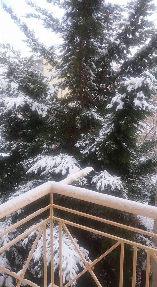 Εικόνα από το Μενίδι στις 9.30 το πρωί