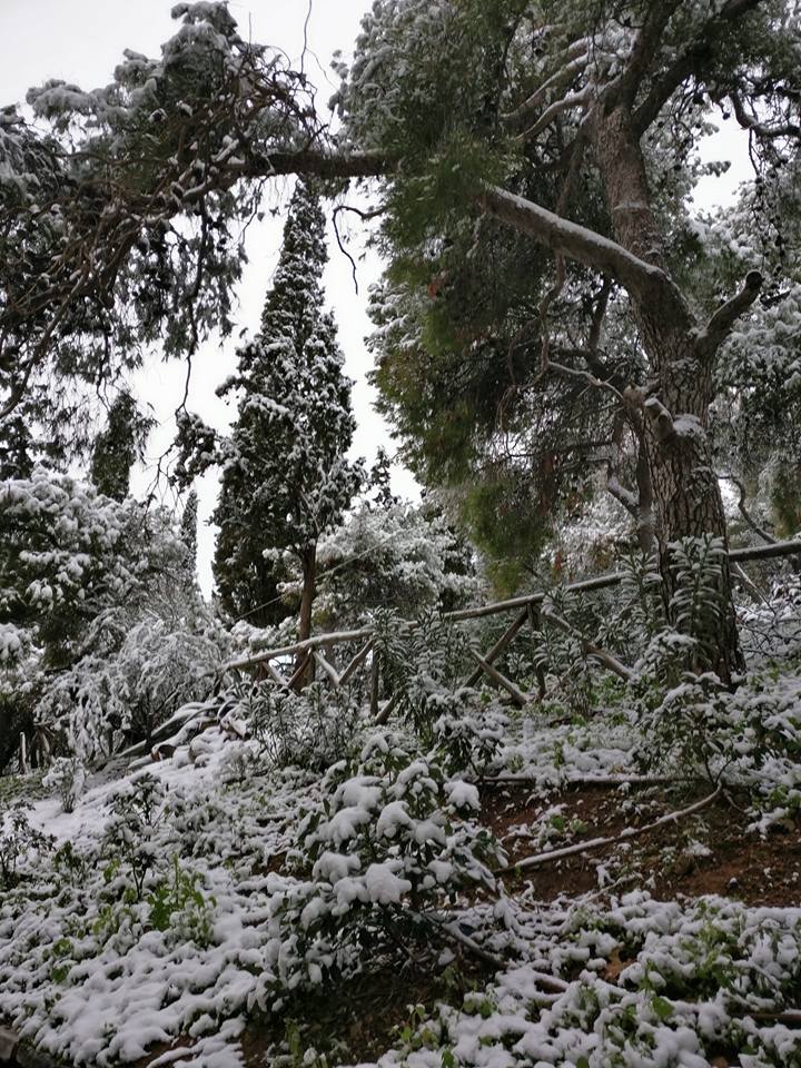 Εικόνα από τον Λυκαβηττό στις 9.45 το πρωί