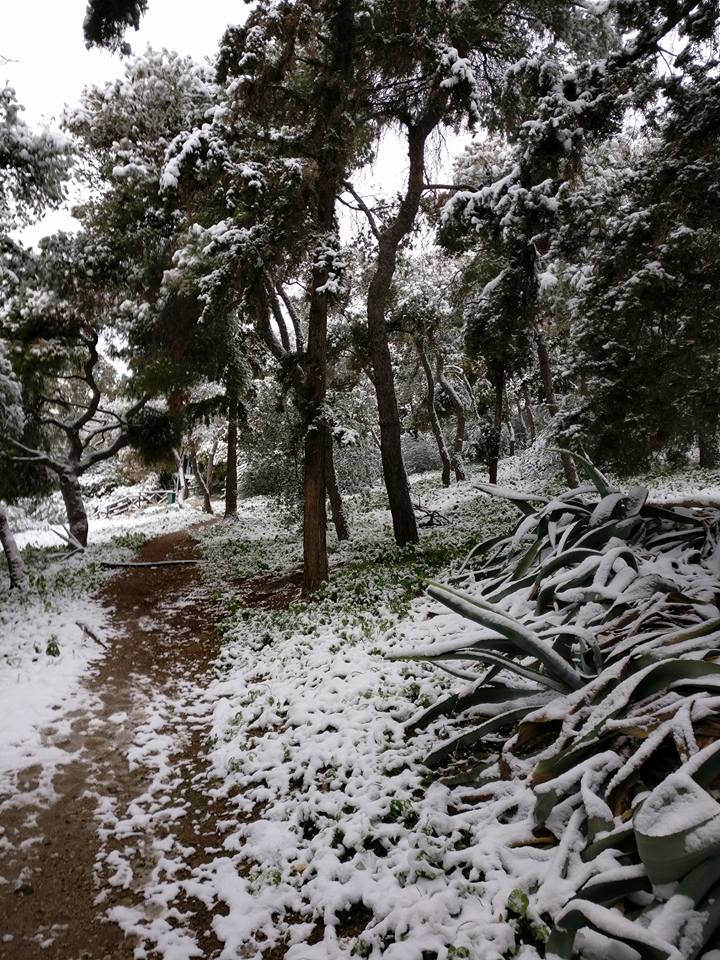 Εικόνα από τον Λυκαβηττό στις 9.45 το πρωί